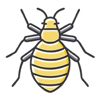 Уничтожение клопов